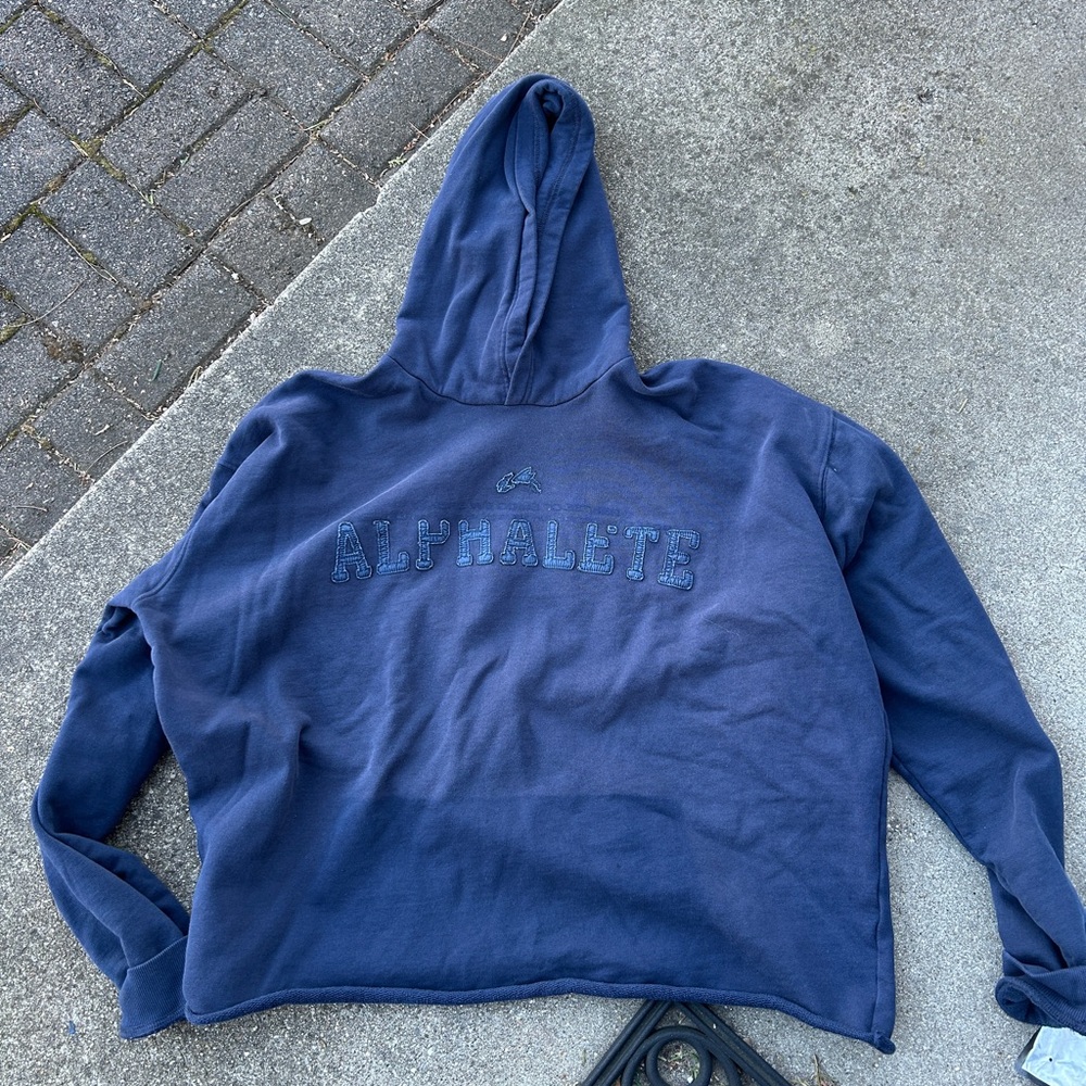 Alphalete sun fade hoodie